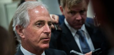 Bob Corker Wiki